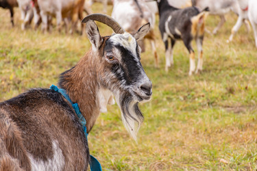 Similar image 21991086