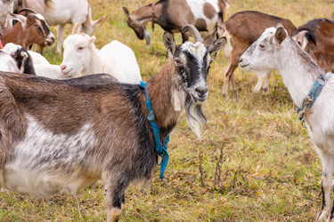 Similar image 21990869