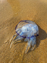 Similar image 21990871