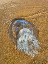 Similar image 21990873