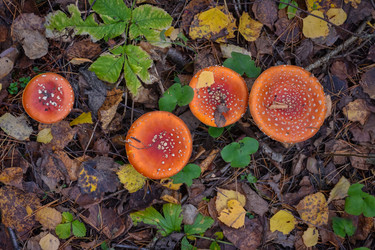 Similar image 21990879