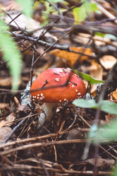 Similar image 21990882