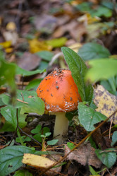 Similar image 21990885