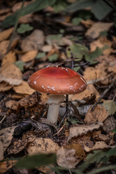 Similar image 21990887