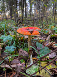 Similar image 21990890