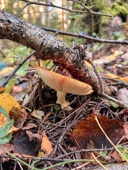 Similar image 21990891