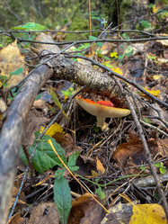 Similar image 21990892