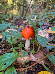 Similar image 21990893