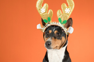 Similar image 21988684