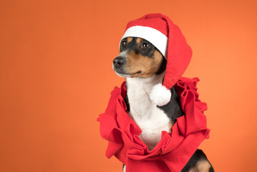 Similar image 21988685