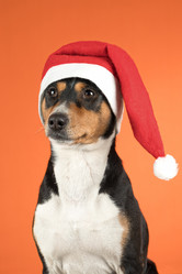 Similar image 21988686