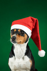 Similar image 21988687