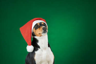 Similar image 21988688