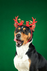 Similar image 21988689