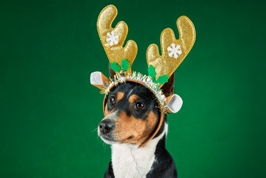 Similar image 21988690