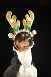 Similar image 21988691