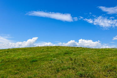 Similar image 21988709