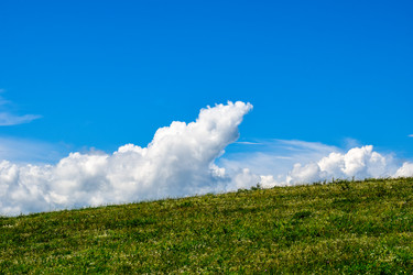 Similar image 21988713