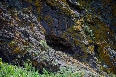 Similar image 21988715