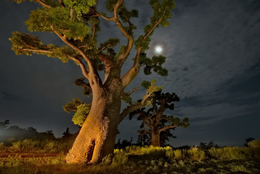 Similar image 21989437