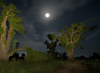 Similar image 21989438