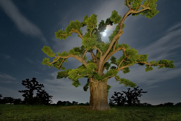 Similar image 21989439