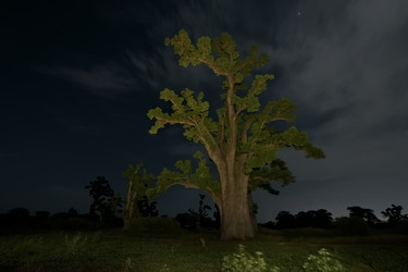 Similar image 21989440