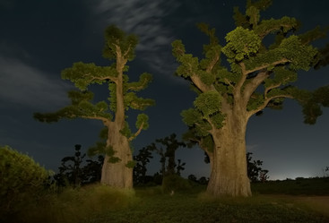 Similar image 21989441