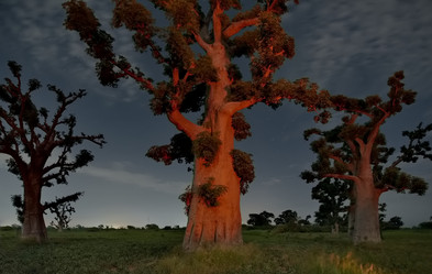 Similar image 21989443