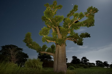 Similar image 21989444