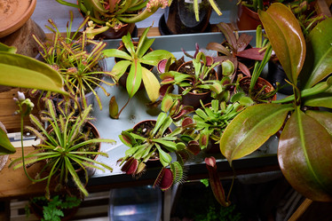 Similar image 21988721