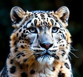 Similar image 21991497