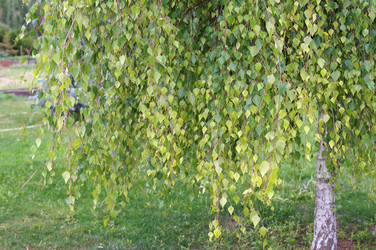 Similar image 21990412