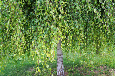 Similar image 21990413