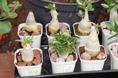 Similar image 21990414