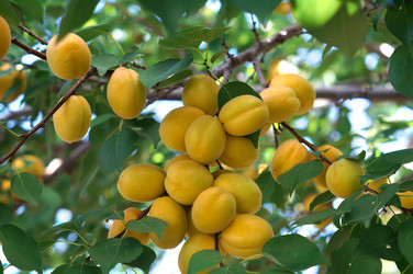 Similar image 21990417