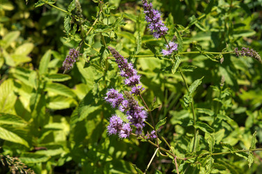 Similar image 21990418