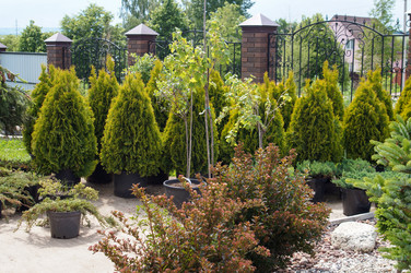 Similar image 21990419