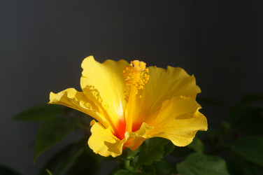 Similar image 21990421