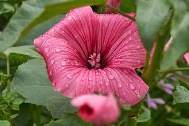 Similar image 21989445