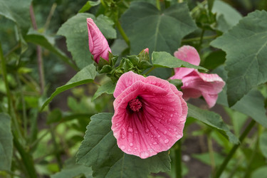 Similar image 21989446