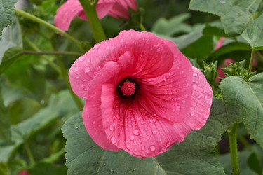 Similar image 21989449