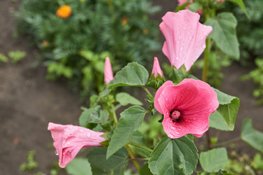 Similar image 21989453