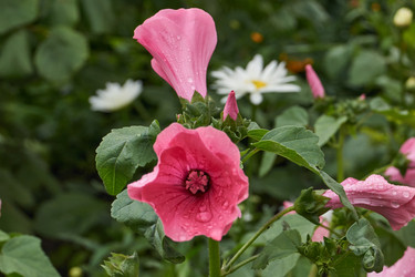 Similar image 21989456