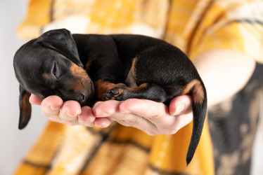 Similar image 21988893