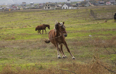 Similar image 21989354