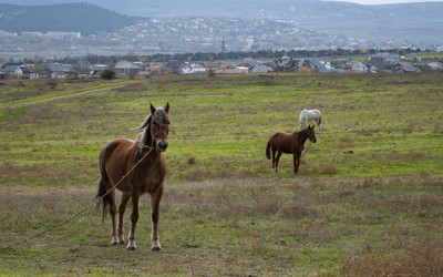 Similar image 21989355