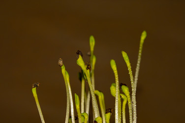 Similar image 21989356