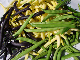 Similar image 21990244