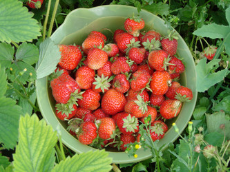 Similar image 21990245